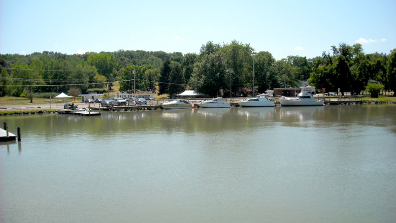 Click the photo to return to the page.