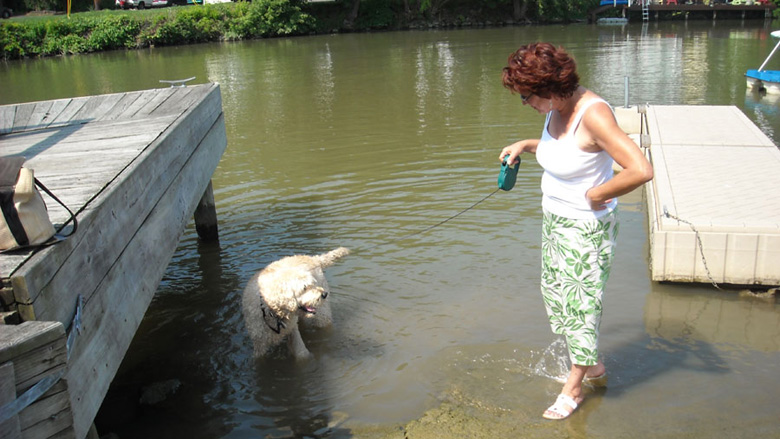 Click the photo to return to the page.