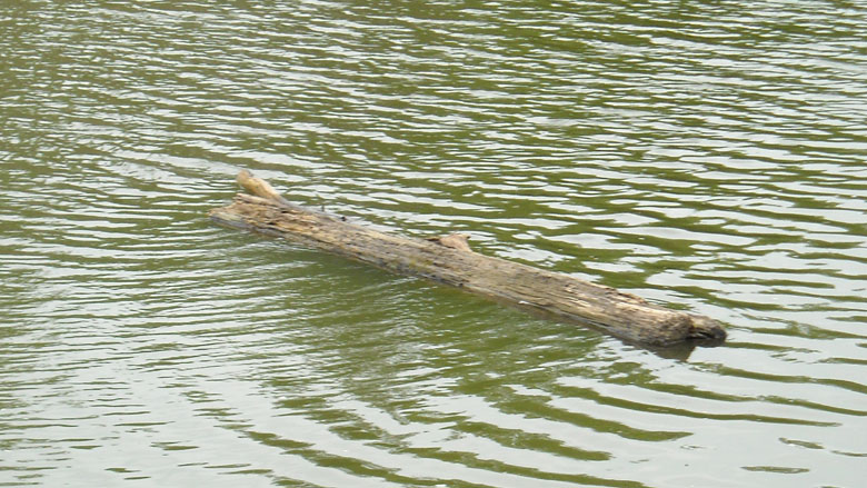 Click the photo to return to the page.