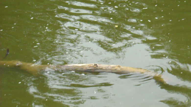 Click the photo to return to the page.