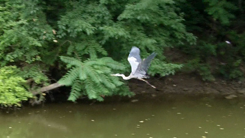 Click the photo to return to the page.