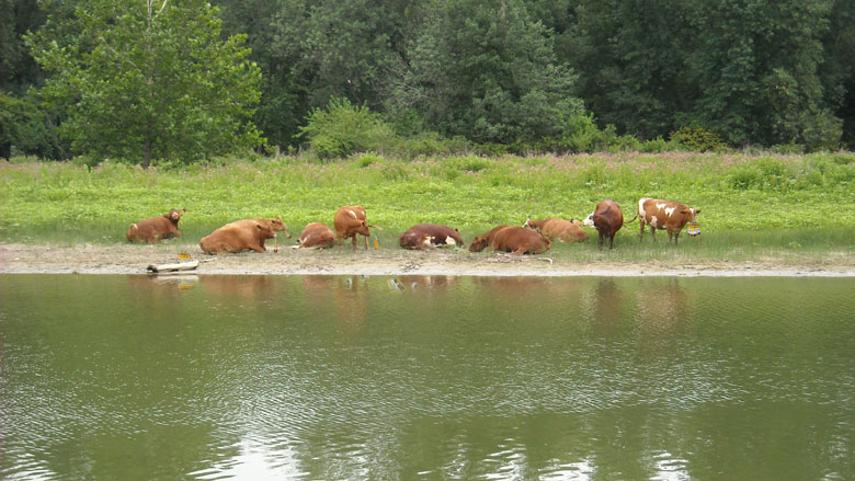 Click the photo to return to the page.