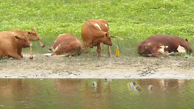 Click the photo to return to the page.