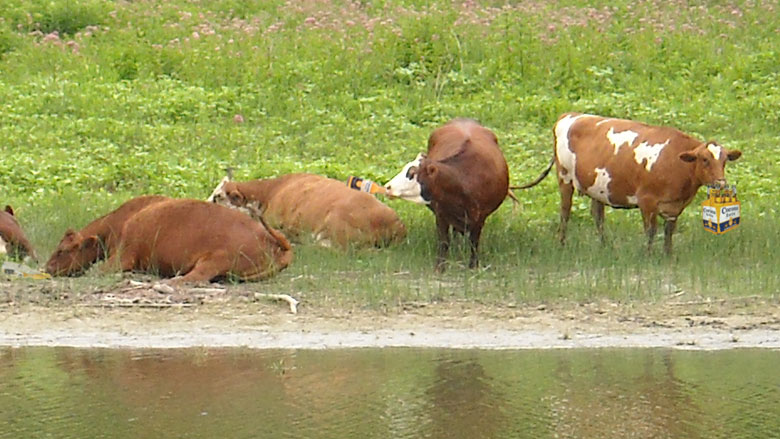 Click the photo to return to the page.