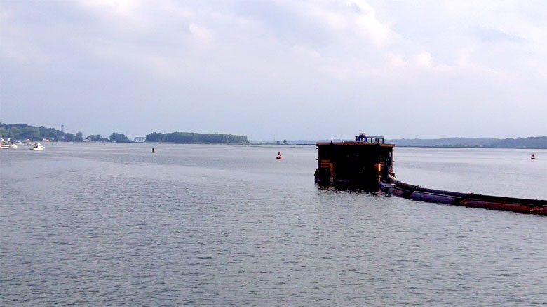 Click the photo to return to the page.