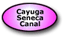 Cayuga Seneca Canal